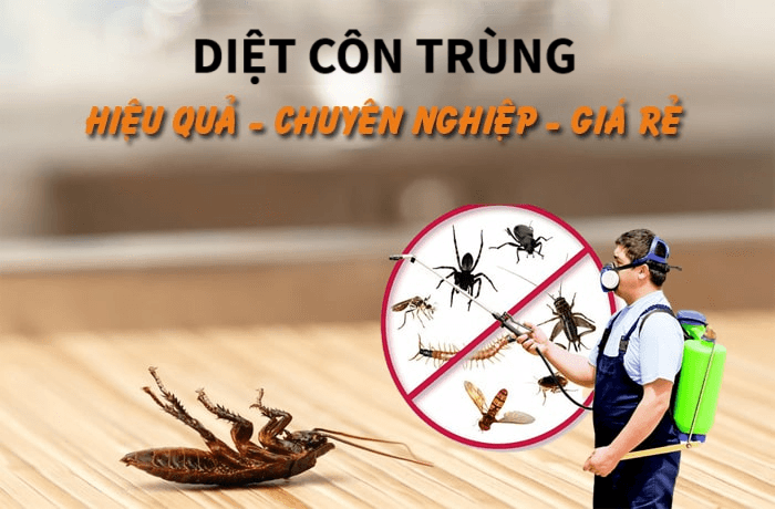 Dịch Vụ Tổng Vệ Sinh Diệt Côn Trùng