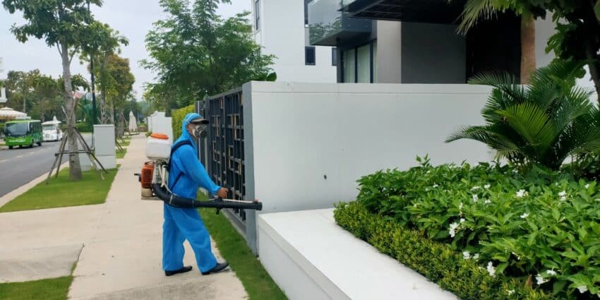 Diệt Mối Cho Biệt Thự