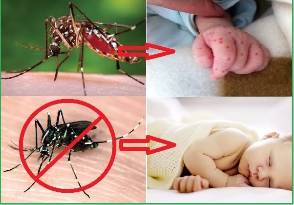 Diệt Côn Trùng An Toàn Cho Trẻ Nhỏ