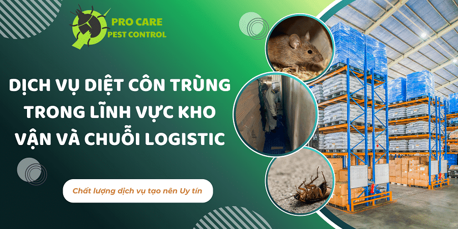 diet-con-trung-kho-van-procare