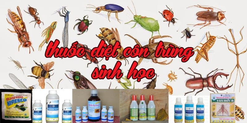 Thuốc Diệt Côn Trùng Sinh Học