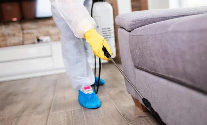 Diệt Côn Trùng An Toàn Cho Trẻ Nhỏ