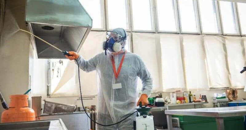 Diệt Ruồi Tại Quán Ăn