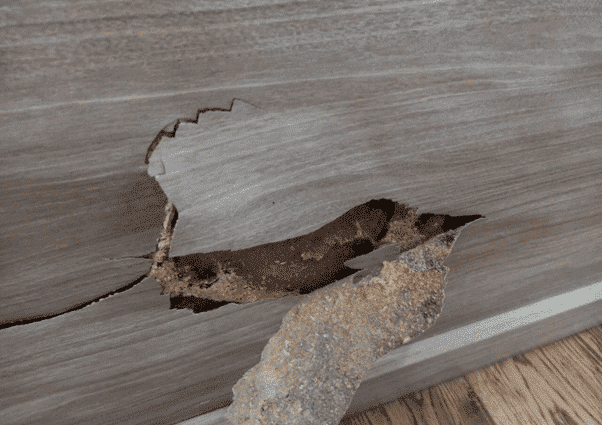 Dịch Vụ Diệt Mối Xã Phước Thái