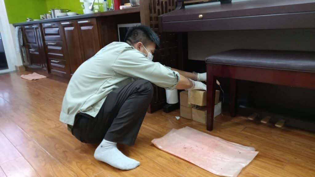 Dịch Vụ Diệt Mối Xã Hậu Mỹ