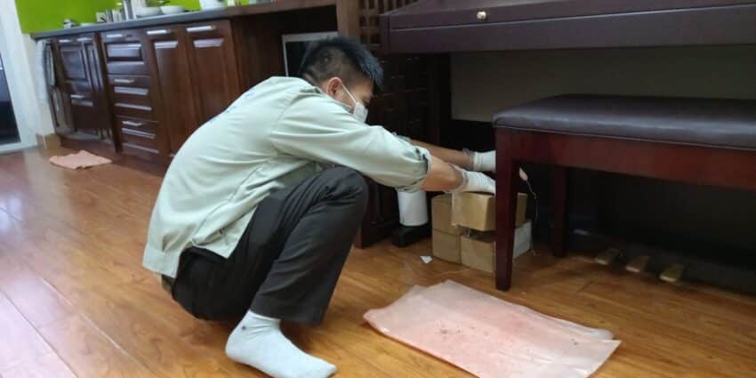 Dịch Vụ Diệt Mối Xã Hậu Mỹ