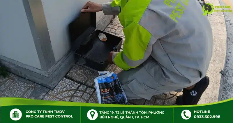 Thuốc diệt mối có độc không?