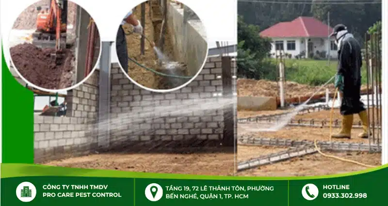 Thuốc diệt mối công trình: Cách chọn và xử lí hiệu quả