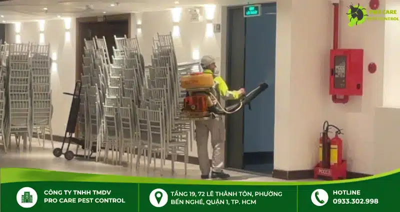 Dịch vụ thuốc diệt mối công trình xây dựng