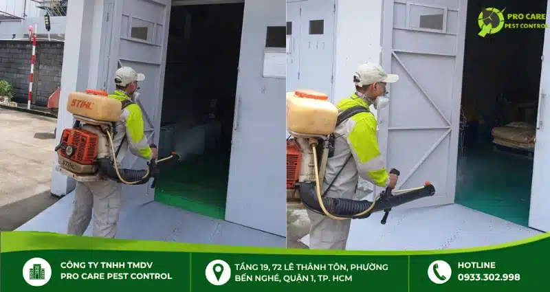 Dịch vụ diệt mối dạng xịt