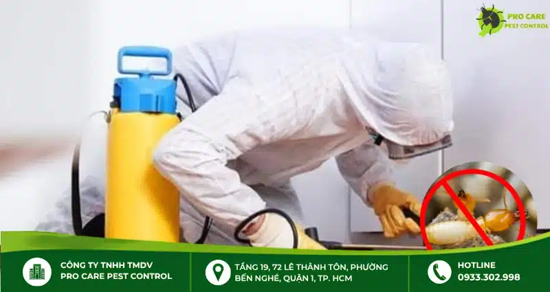 Thuốc diệt mối dạng nào hiệu quả? Có nên dùng dạng xịt?