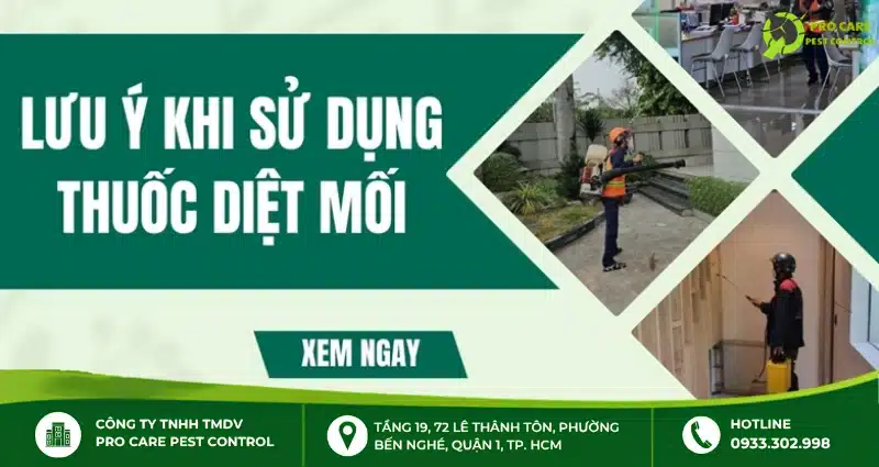 Lưu ý khi mua thuốc diệt mối mọt