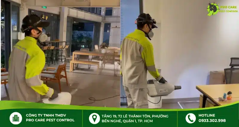 Thuốc diệt mối mọt: Cách xử lý mối mọt cho gỗ và công trình
