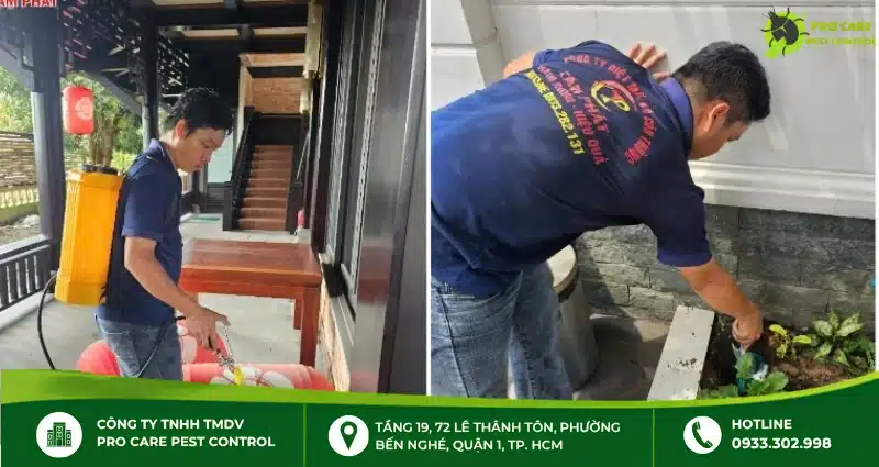 Tâm Phát – dịch vụ diệt mối trong top 4 công ty được tham khảo