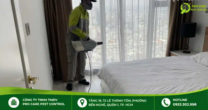 Dịch vụ diệt bọ chét của Pro Care Pest Control
