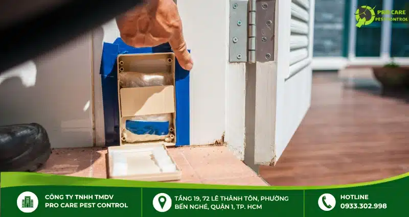 Hộp nhử mối được đặt tại khu vực mối hoạt động