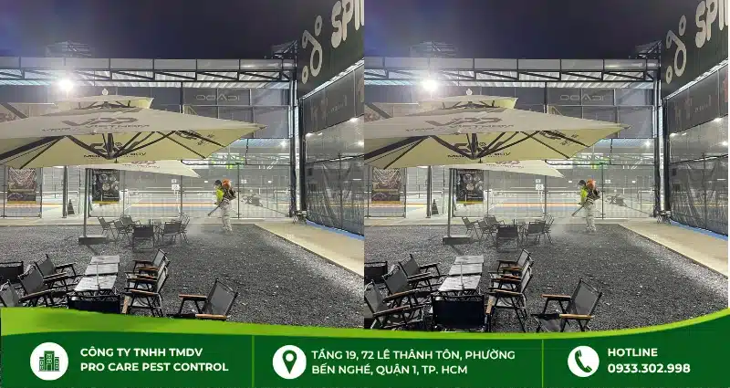 Các phương pháp chống mối cho công trình hiệu quả
