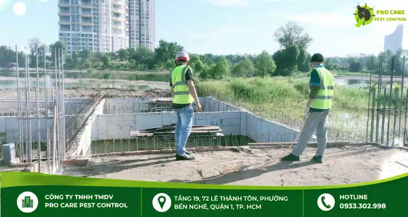 Điều gì xảy ra nếu công trình không được chống mối?
