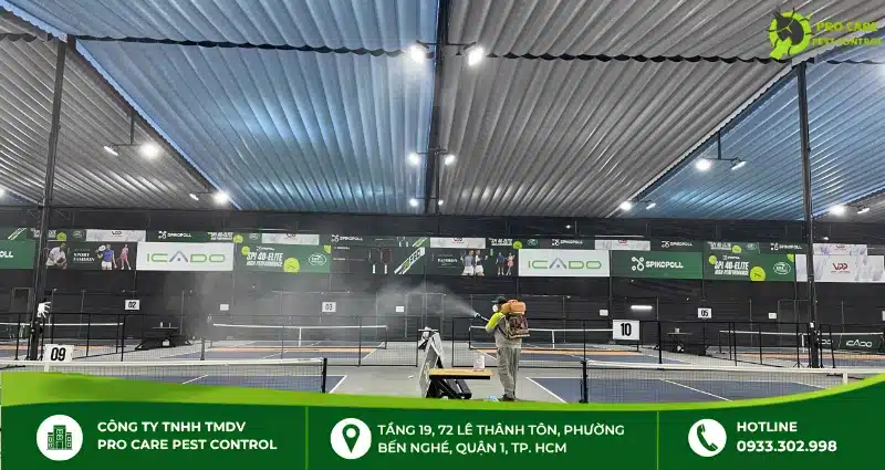 Chống mối công trình: Những điều cần biết để bảo vệ công trình lâu dài