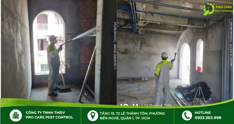 Những vị trí cần chống mối trong công trình