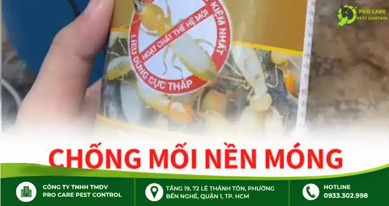 Chống mối nền móng: Hướng dẫn phòng mối cho nhà mới xây hiệu quả
