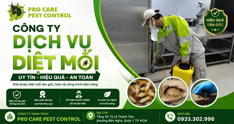 Công ty dịch vụ diệt mối tận gốc uy tín - Pro Care Pest Control