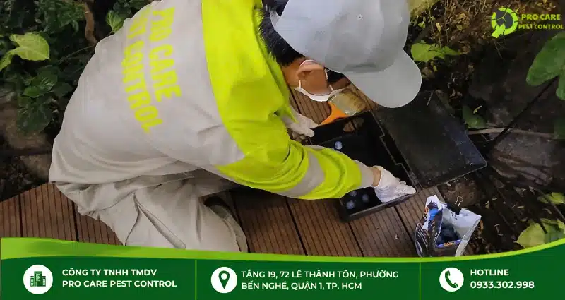 Các phương pháp công ty dịch vụ diệt mối tận gốc áp dụng