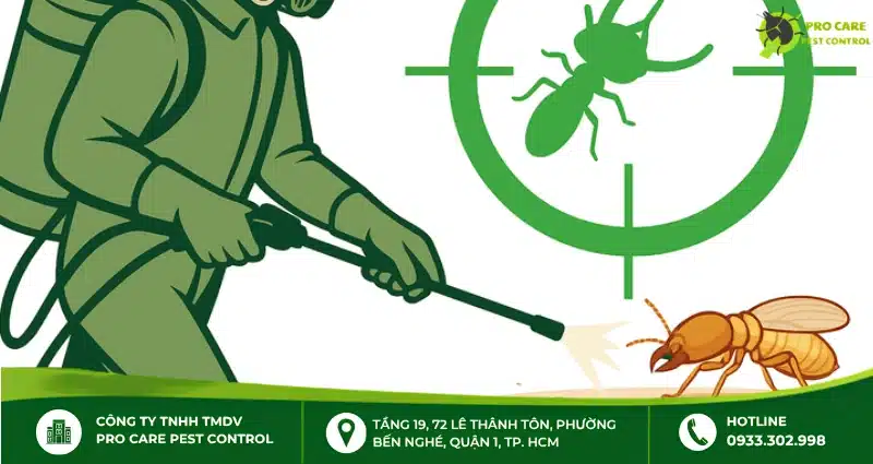 Khi nào cần thuê công ty dịch vụ diệt mối tận gốc?