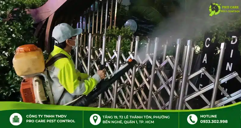 Pro Care Pest Control - Giải pháp nào để xử lý mối