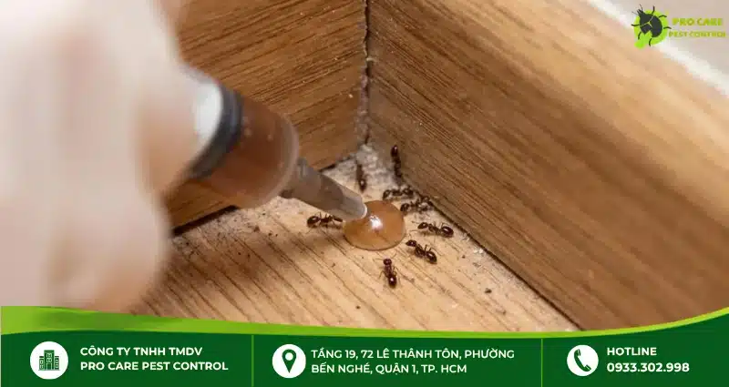 Thuốc diệt kiến an toàn: Cách chọn và sử dụng hiệu quả