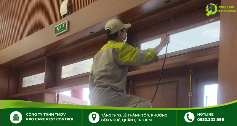 Lưu ý về thuốc diệt kiến an toàn cho bé