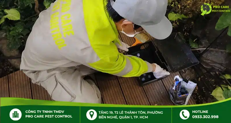 Thuốc diệt kiến an toàn: Cách chọn và sử dụng hiệu quả