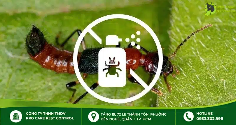 Thuốc diệt kiến ba khoang loại nào tốt, hiệu quả?