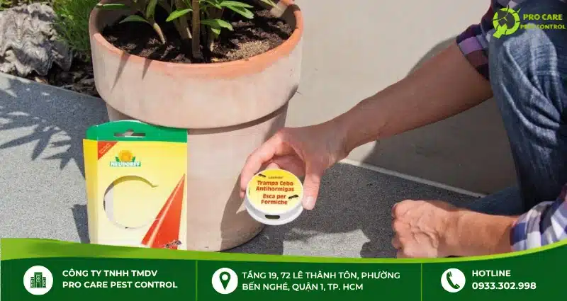 Sử dụng thuốc diệt kiến cho cây trồng an toàn
