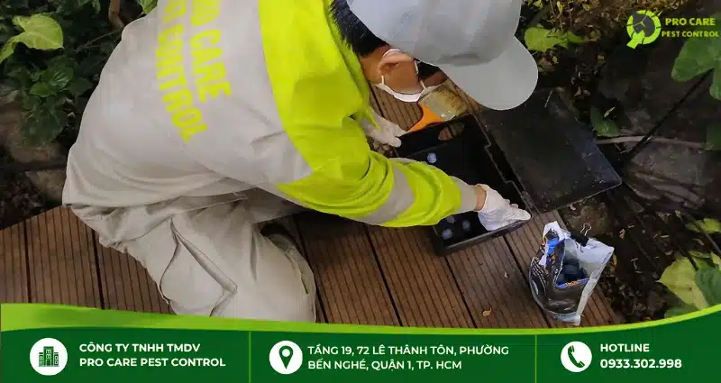 Dịch vụ diệt kiến Pro Care Pest Control