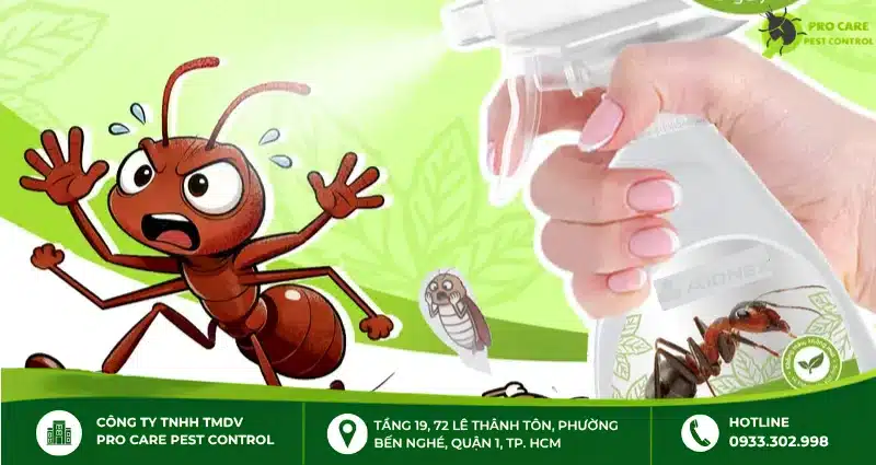Thuốc diệt kiến cho cây loại nào hiệu quả nhất?