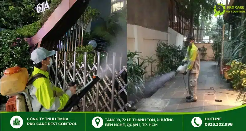 Kiểm tra và xử lý khu vực có kiến theo tình trạng thực tế