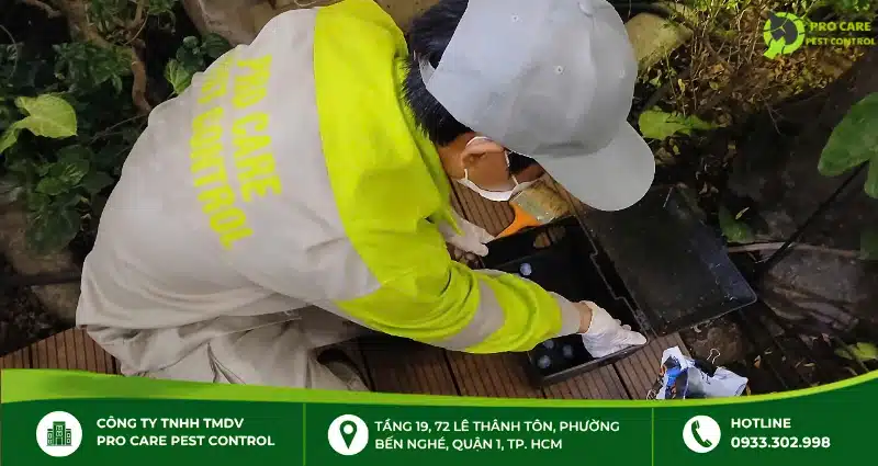 Dịch vụ diệt kiến lửa chuyên nghiệp của Pro Care Pest Control