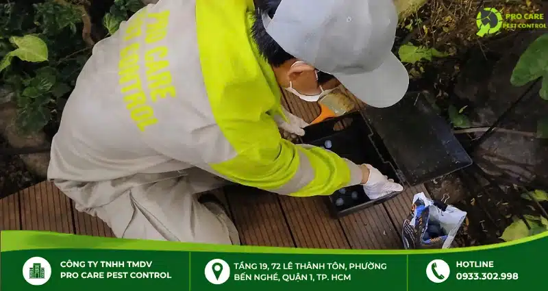 Pro Care Pest Control xử lý mối an toàn