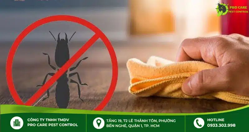 Sử dụng thuốc diệt mối an toàn