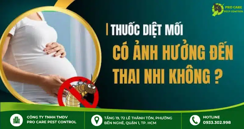 Thuốc diệt mối có hại cho bà bầu và thai nhi không?