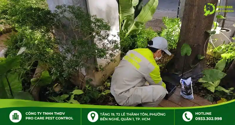 Sử dụng thuốc diệt mối PMC 90DP