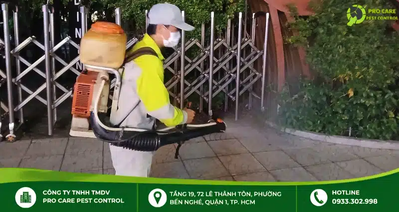 Dịch vụ diệt muỗi chuyên nghiệp