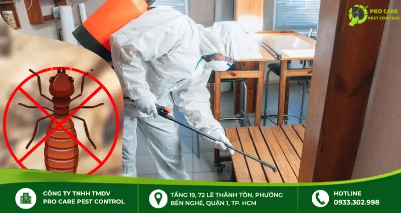 Cách chống mọt và bảo vệ đồ gỗ tại nhà đơn giản, hiệu quả
