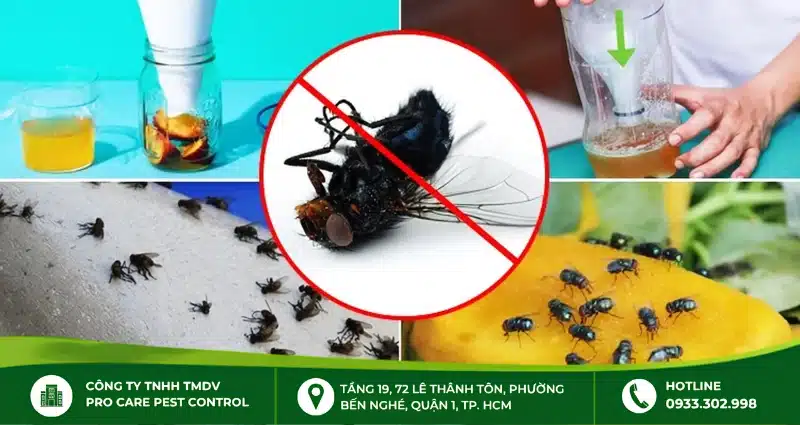 Nguyên nhân khiến ruồi xuất hiện trong nhà