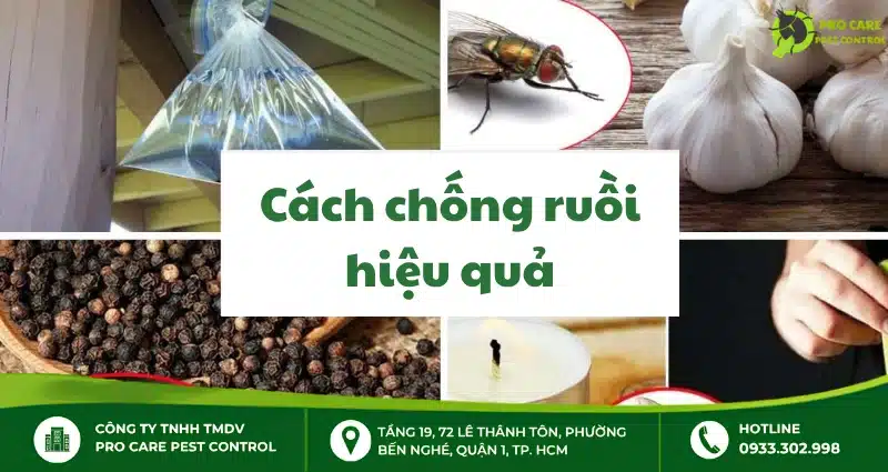 7 cách kiểm soát, chống ruồi hiệu quả nên áp dụng