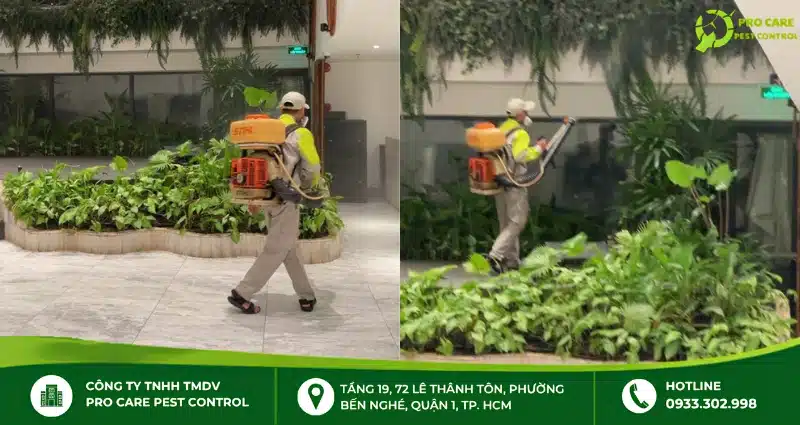 Khảo sát và kiểm soát ruồi chuyên nghiệp