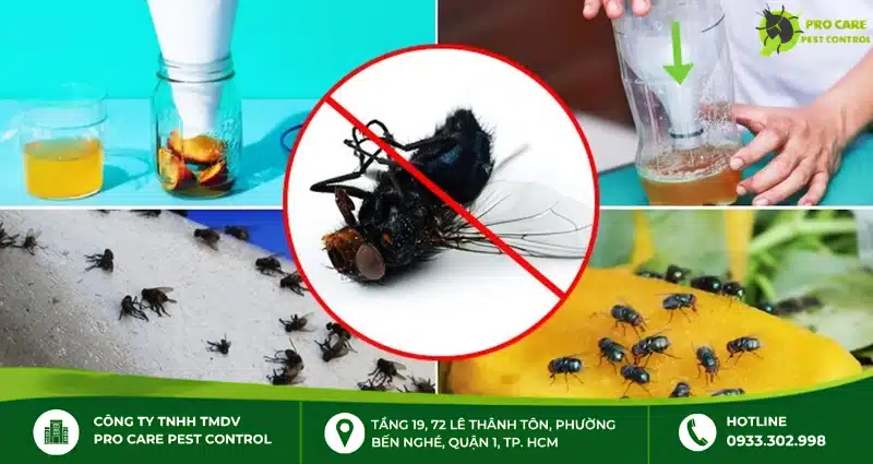 Cách chống ruồi nhặng và xử lý nơi sinh sản