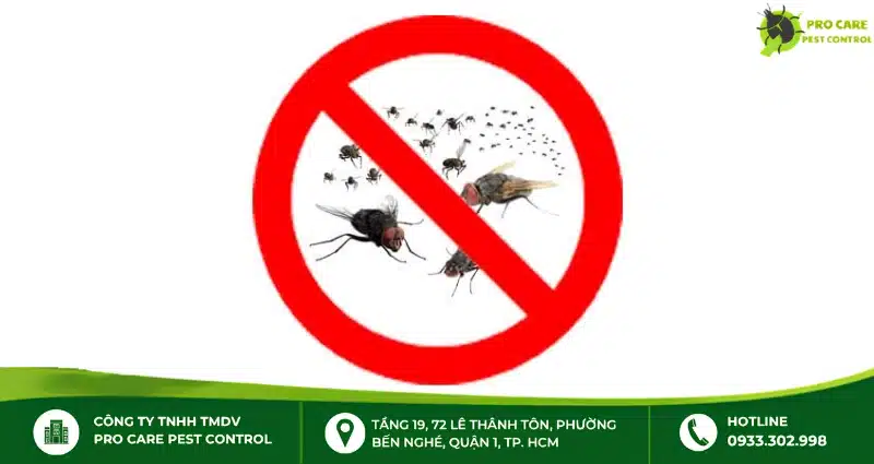 Chống ruồi trong nhà: Nguyên nhân và cách phòng ngừa hiệu quả