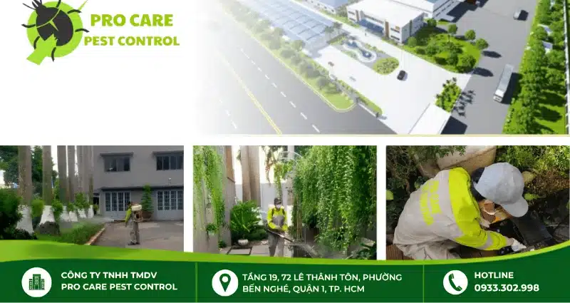 Dịch vụ kiểm soát côn trùng chuyên nghiệp